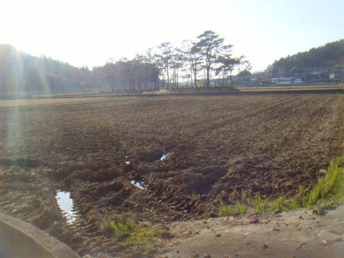 물건 사진 7