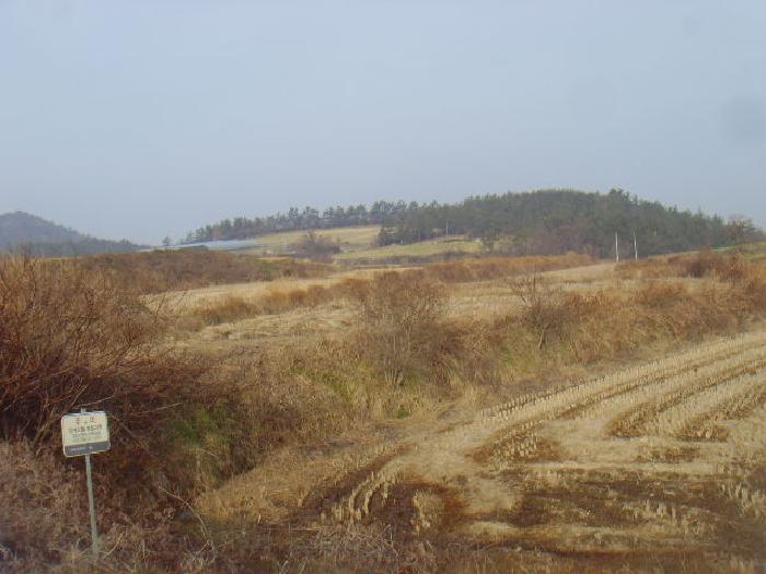 물건 사진 11