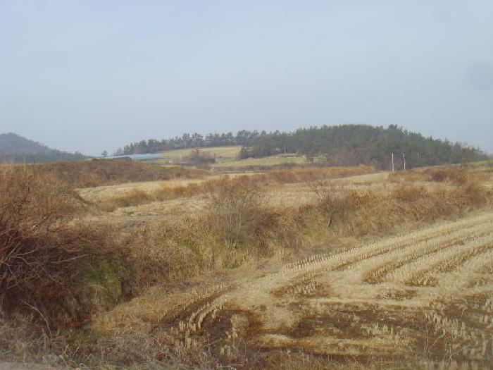 물건 사진 12