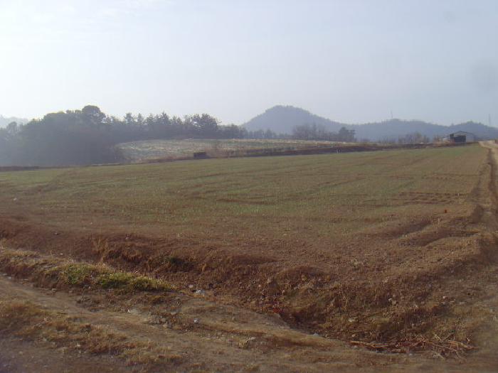 물건 사진 14