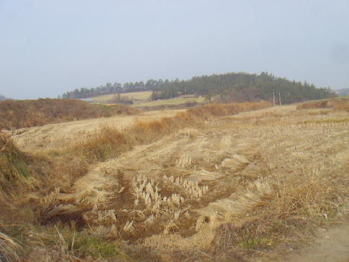 물건 사진 15