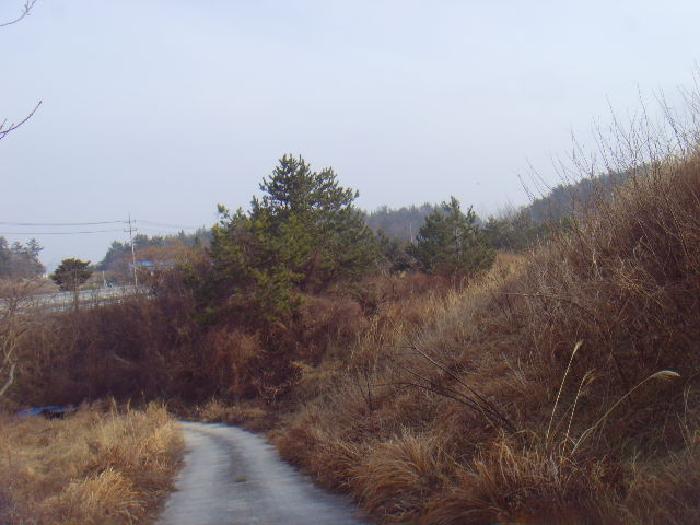 물건 사진 3