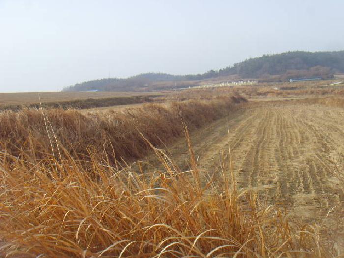 물건 사진 4