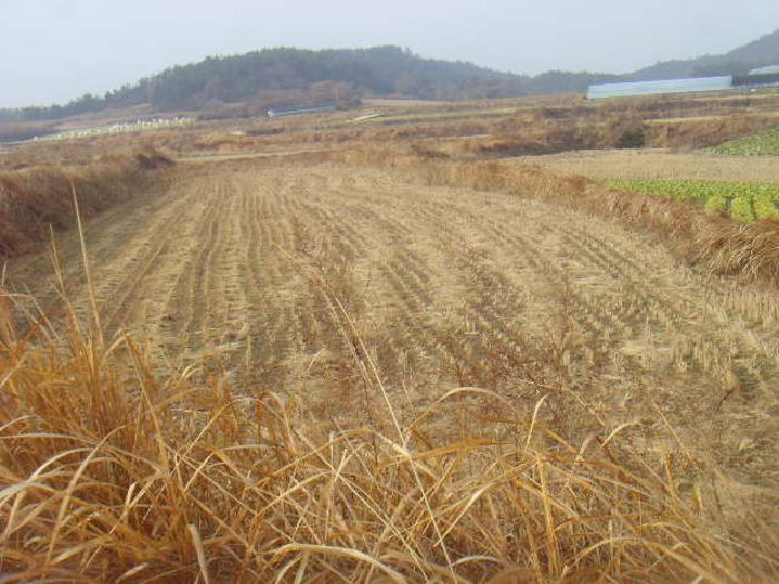물건 사진 10