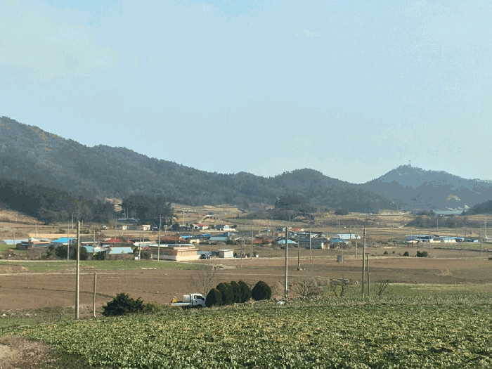 물건 사진 21