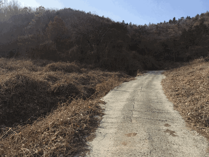 물건 사진 28