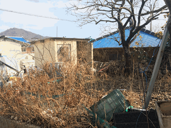 물건 사진 30