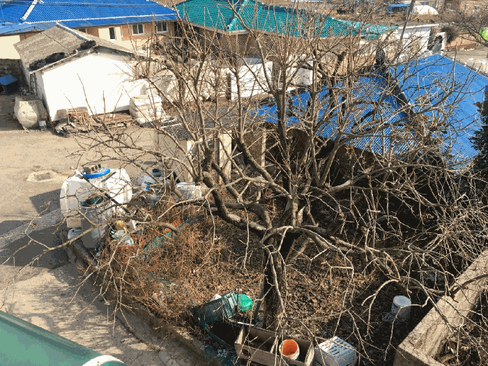 물건 사진 37