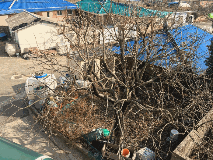 물건 사진 39