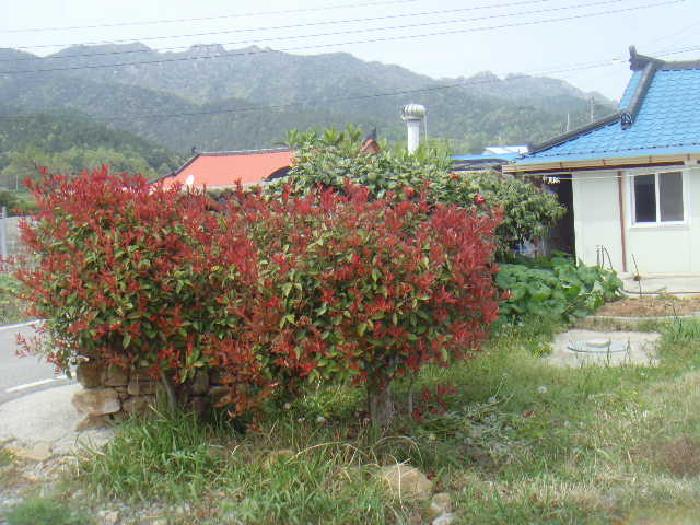물건 사진 9