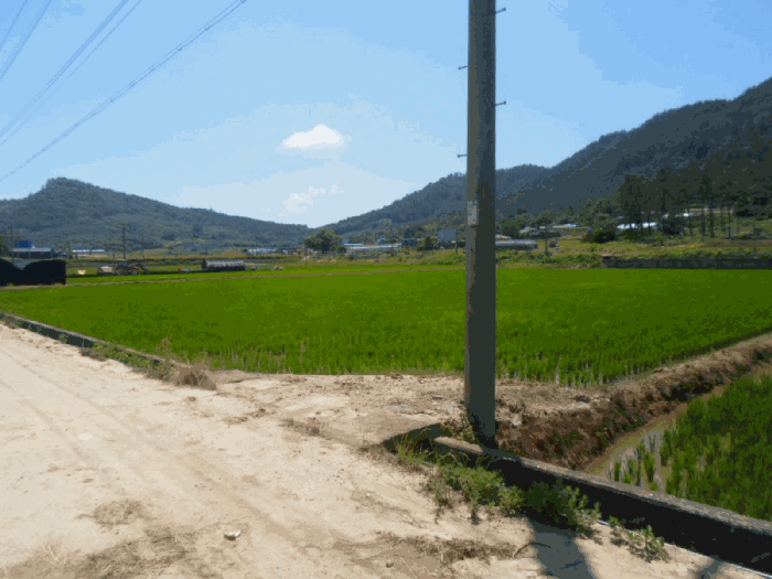 물건 사진 28