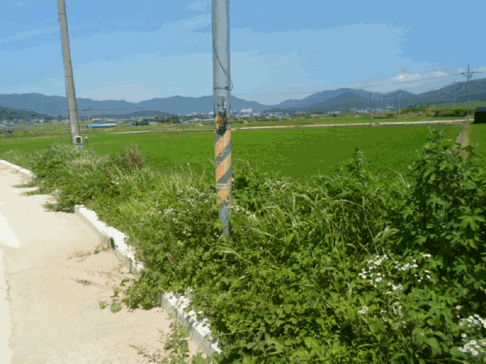 물건 사진 29