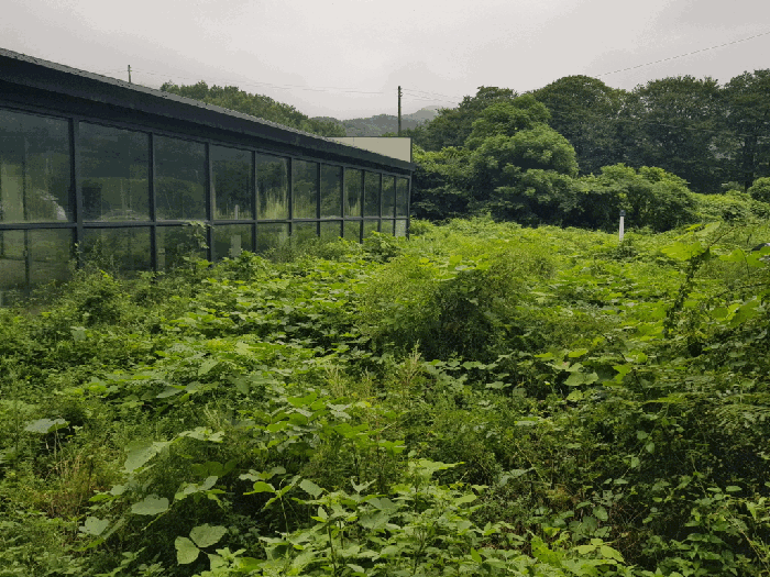물건 사진 21