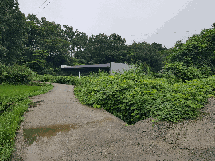 물건 사진 27