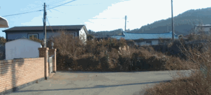 물건 사진 15