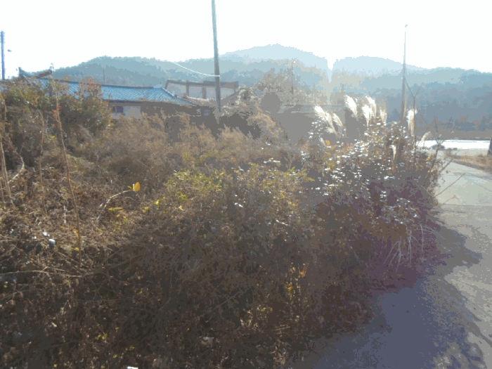 물건 사진 16