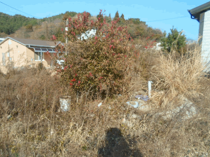 물건 사진 18