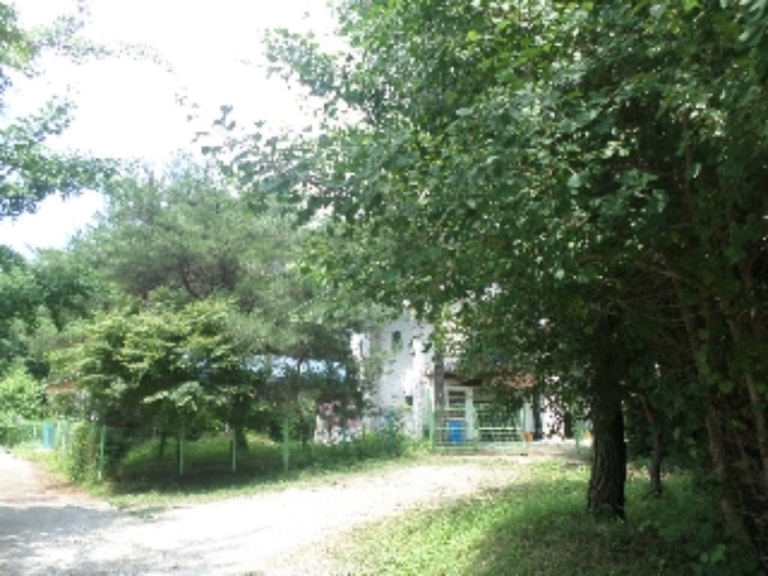 물건 사진 12