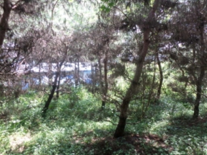 물건 사진 18