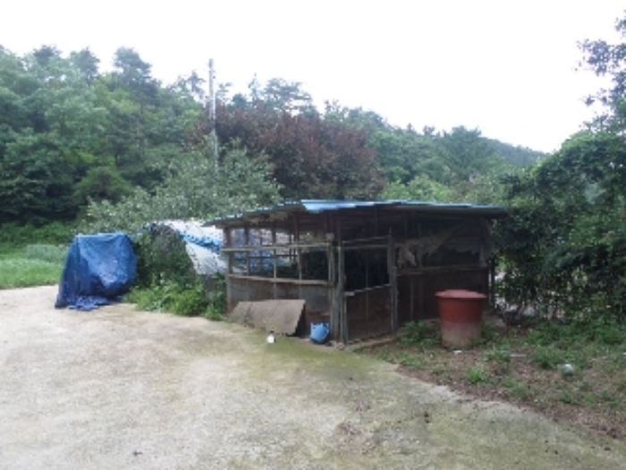 물건 사진 3