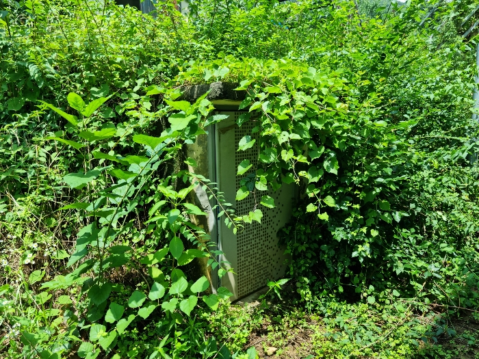 물건 사진 43