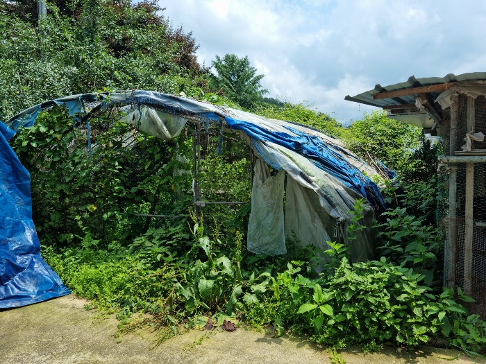 물건 사진 44