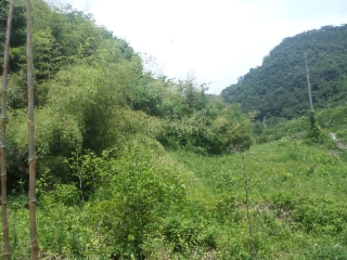 물건 사진 16