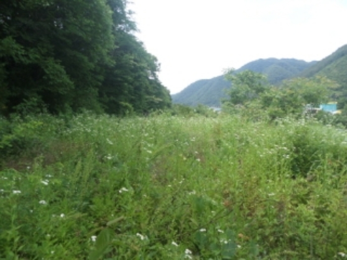 물건 사진 24