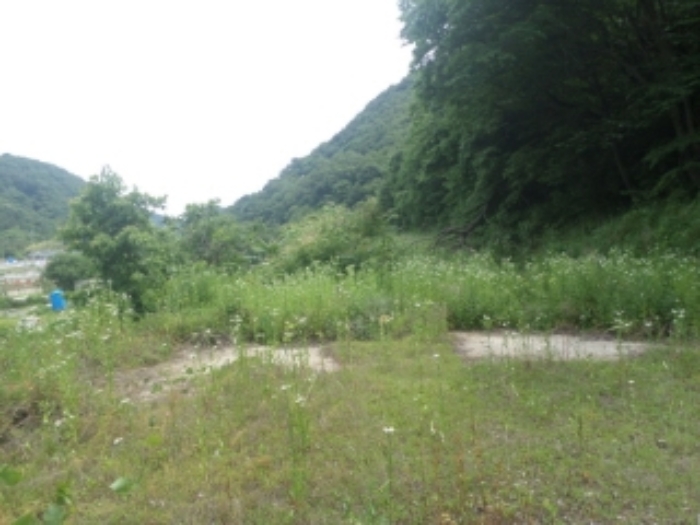 물건 사진 25