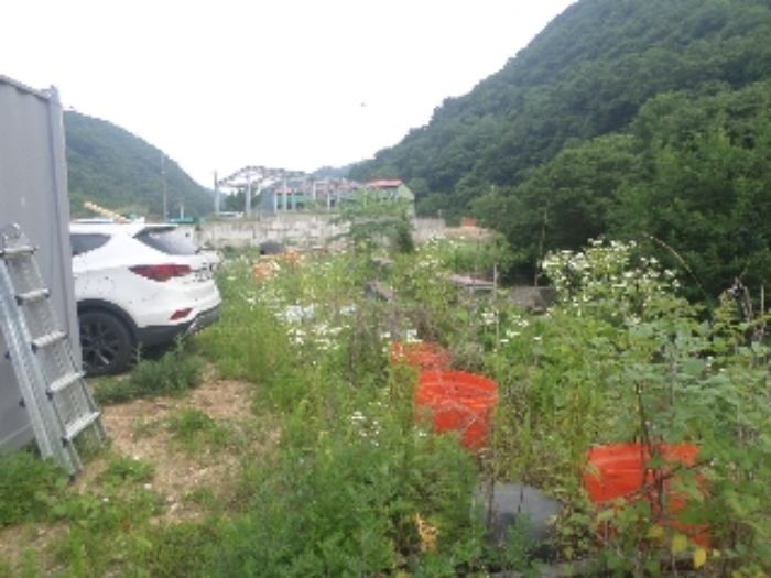 물건 사진 54