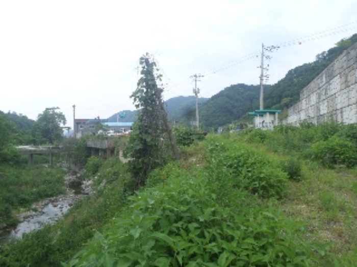 물건 사진 56