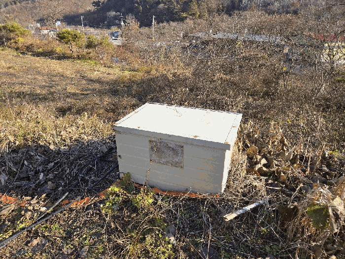 물건 사진 62