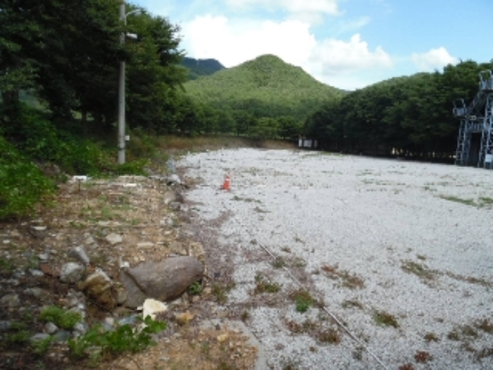 물건 사진 125