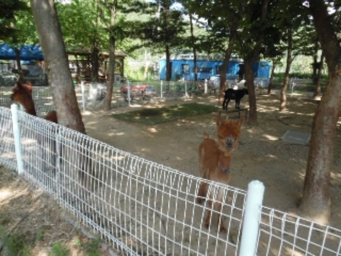 물건 사진 145