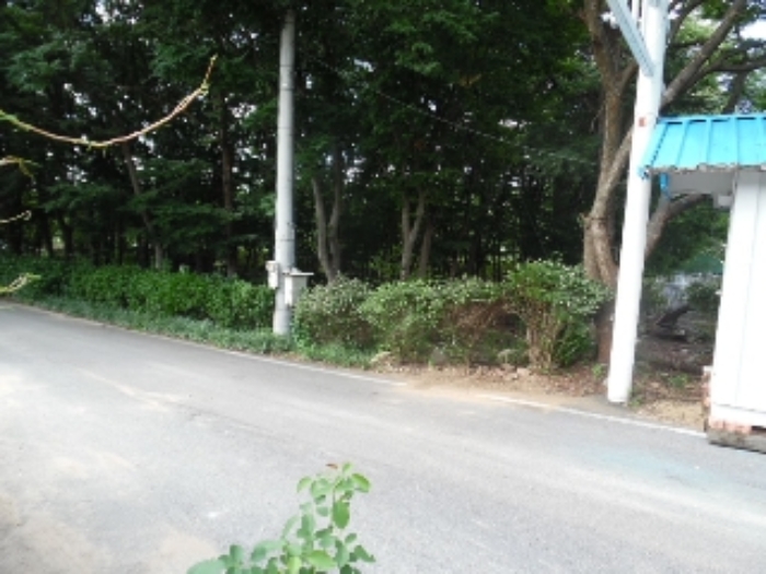 물건 사진 16