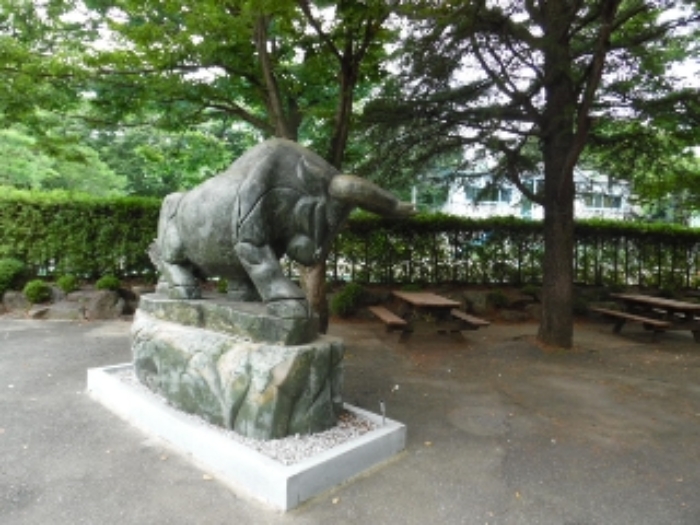 물건 사진 164