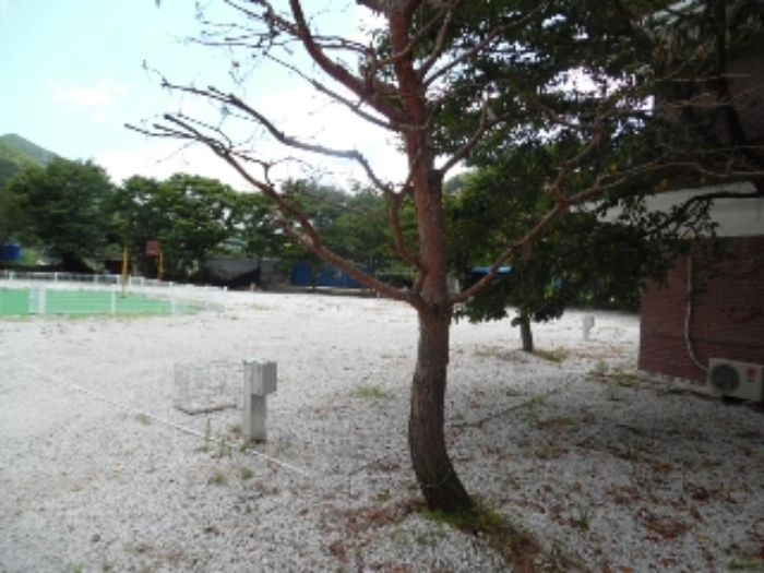 물건 사진 31