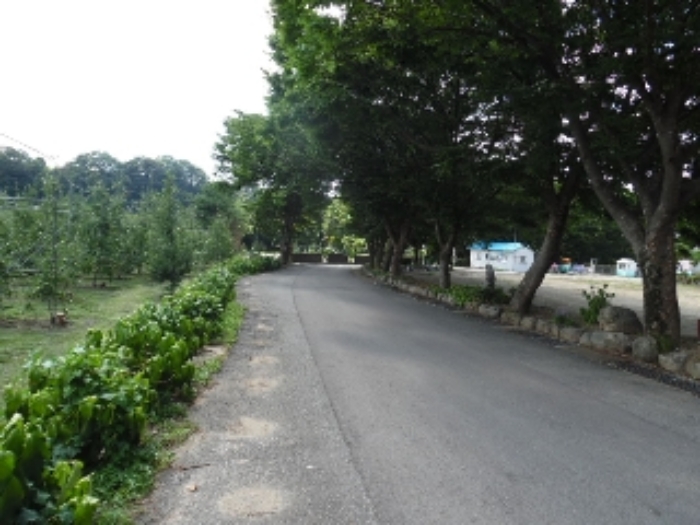 물건 사진 51