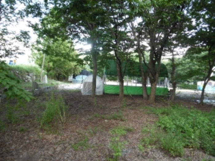 물건 사진 53