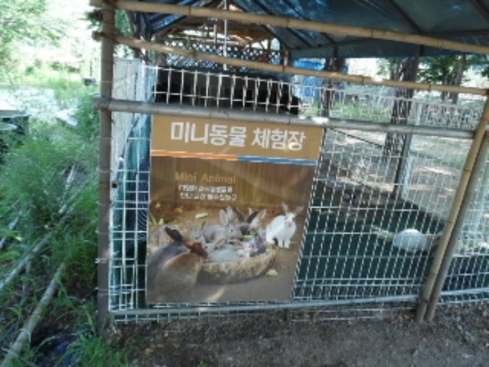 물건 사진 91