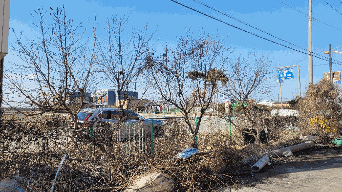 물건 사진 26
