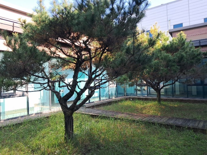 물건 사진 84