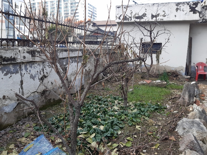 물건 사진 23
