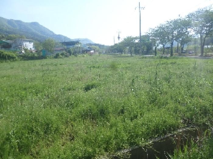 물건 사진 12