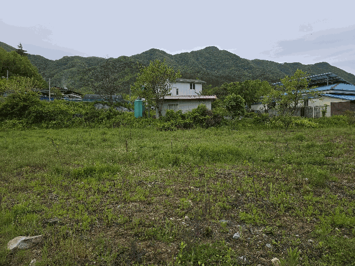 물건 사진 25