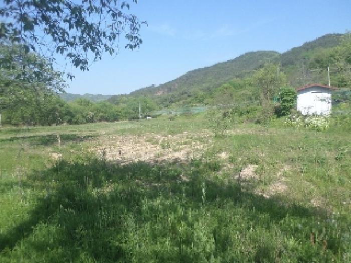 물건 사진 7