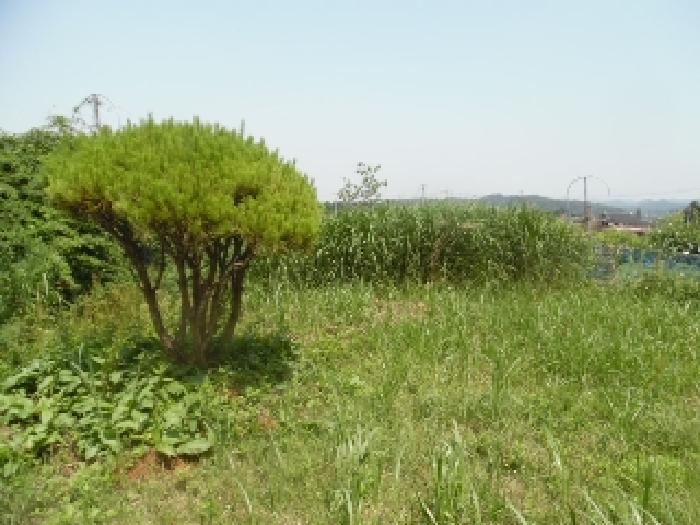 물건 사진 11