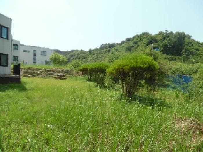 물건 사진 14