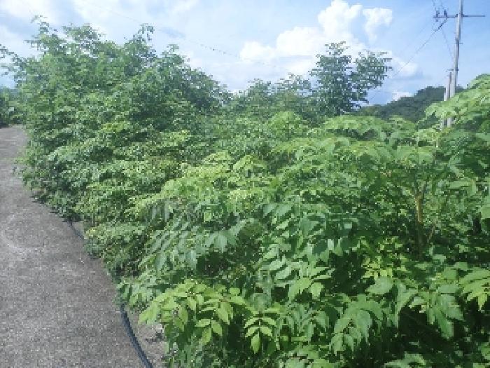 물건 사진 21