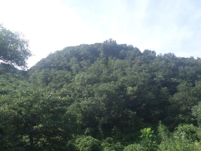 물건 사진 23